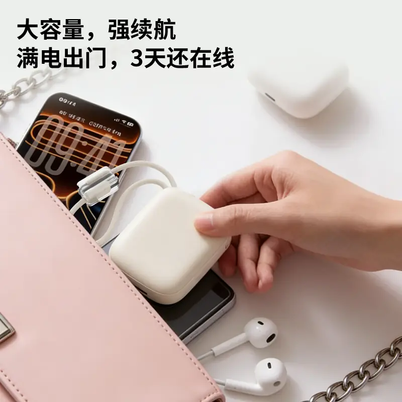 CH46 Dual-Line Power Bank — product photo 9 of 18